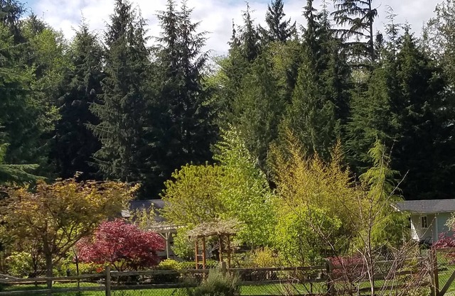 Erschwingliche Private Guest House