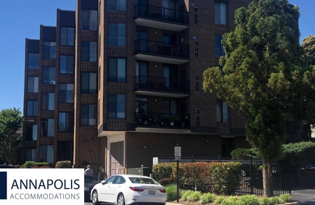 After a long day, park and take a walk to a favorite Eastport pub or restaurant or venture over the draw bridge into downtown for a morning coffee or evening ice cream.