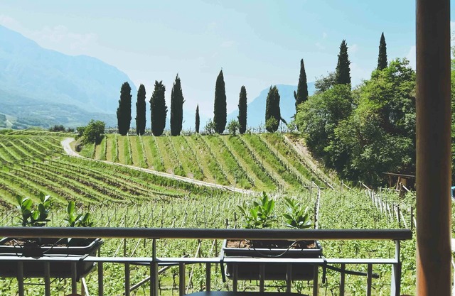 Agritur Casteller