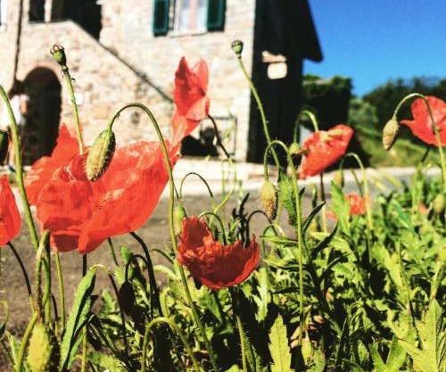 Agriturismo Angiò nel Cerè