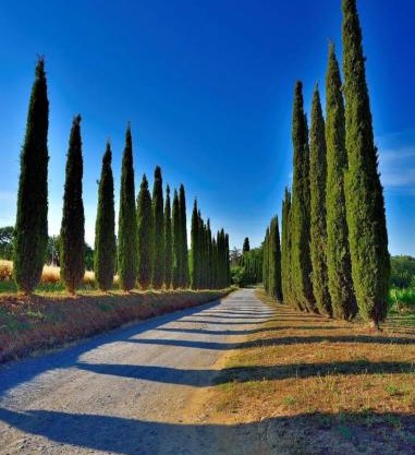 Agriturismo Boschetto di Montiano
