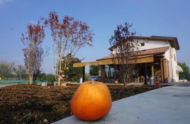 agriturismo campogrande
