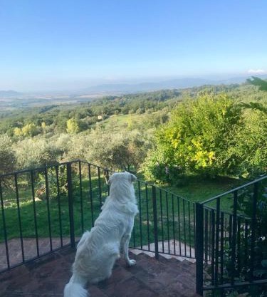 Agriturismo Campo al Crognolo