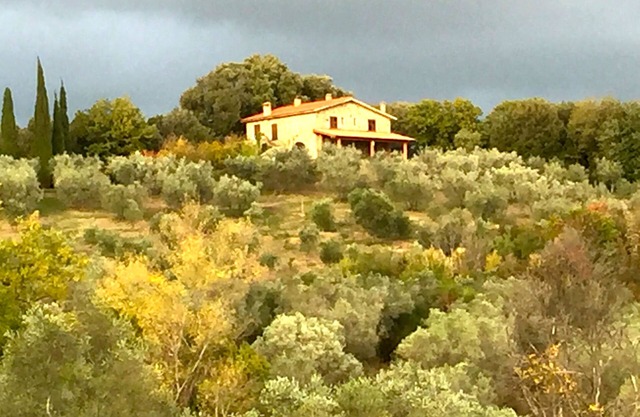Bauernhof Campo al Crognolo.