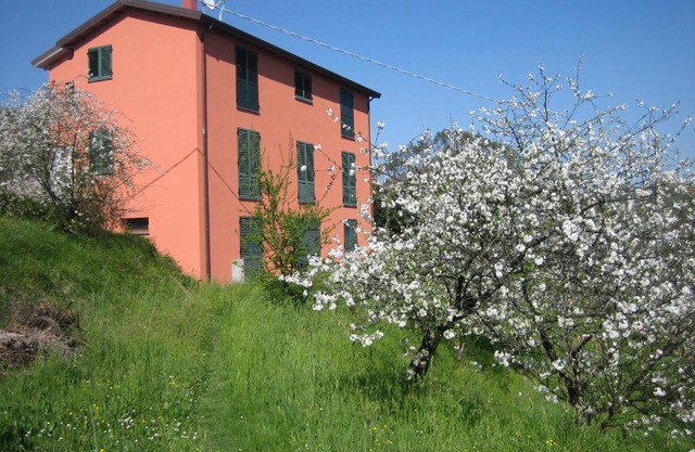 Agriturismo Casalino