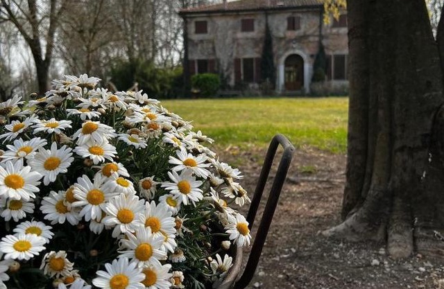 Agriturismo Corte San Girolamo