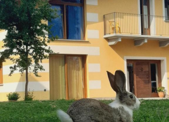 Agriturismo Fior Di Campo