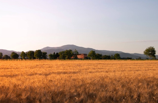 Agriturismo Il Pescinone - Cipresso, zwischen Land und Meer