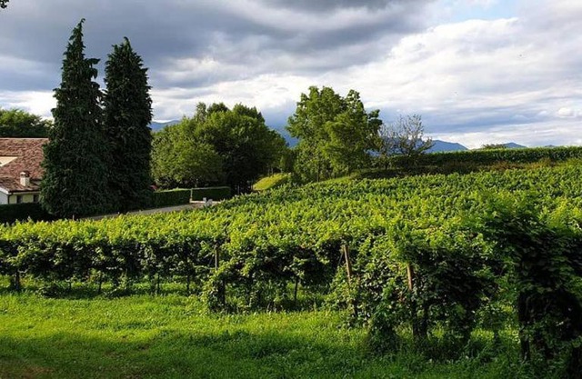 Agriturismo l'Eremo