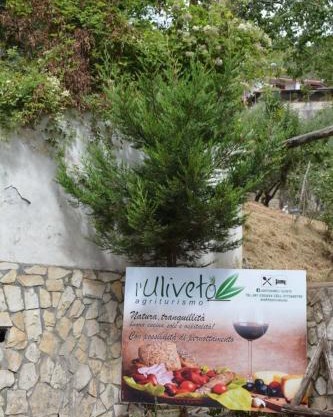 Agriturismo L'Uliveto