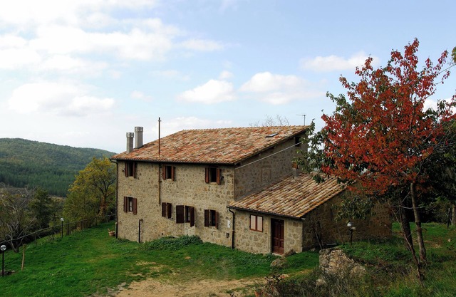 - Agriturismo La Piaggia - Wohnung mit Waldblick im Erdgeschoss 2 Personen