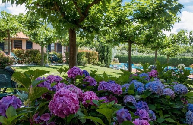 Agriturismo la Torricella