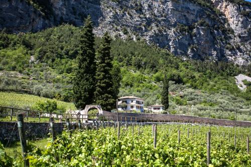 Agriturismo Maso Lizzone