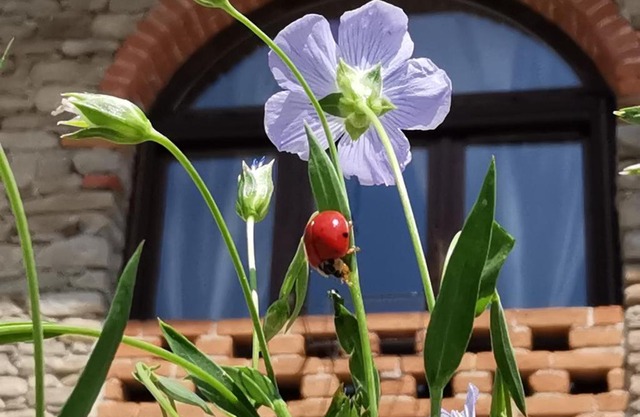 Agriturismo Mondo