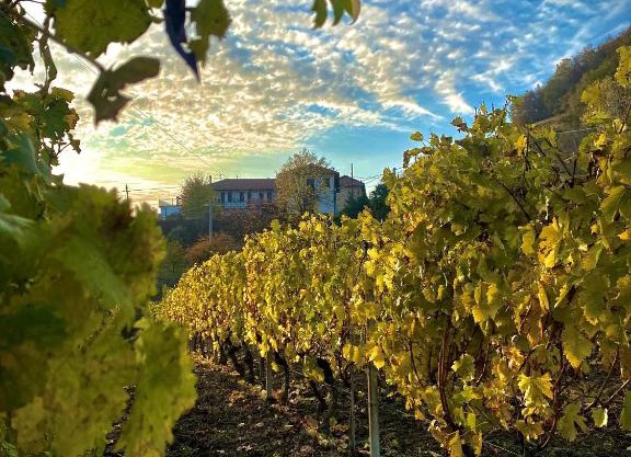Agriturismo Pian Del Duca