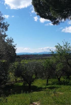 Agriturismo Tenuta di Vignale