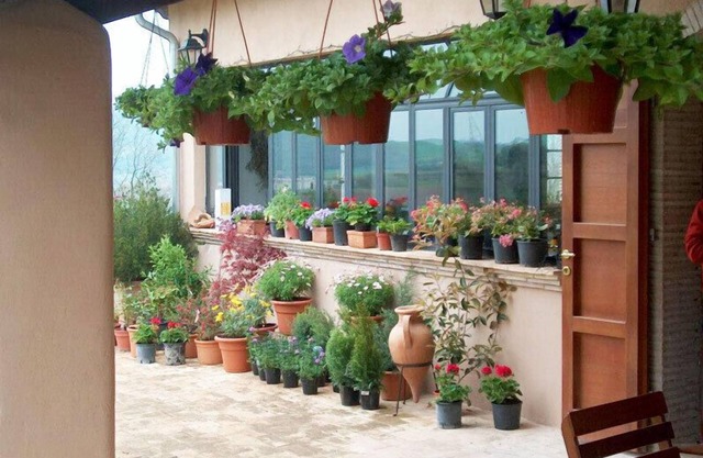 Agriturismo Terrasabina