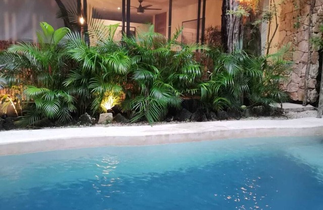 Agua & Selva Luxury loft in the Mayan Jungle