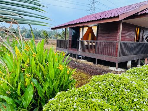 Akira Laman Padi Tg Karang