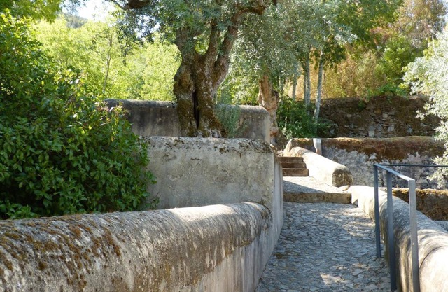 Alamal River Club