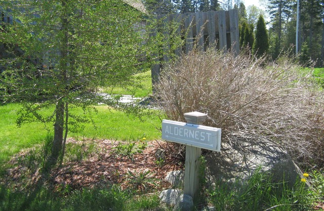Aldernest Loft - "Ruhezone" von Mount Desert Island / Acadia National Park