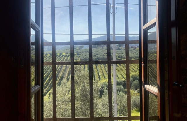 Alessio room overlooking the vineyards of Tuscany