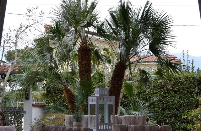 Alles inklusive grosses Haus mit Garten, Klimaanlage , ruhig und in Meer Nähe