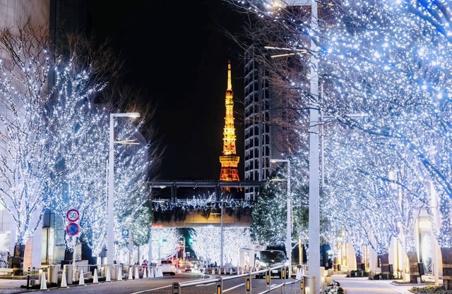 [Alo BnB 11] - Near ROPPONGI, GINZA, SHINJUKU, SHIBUYA - Self check-in