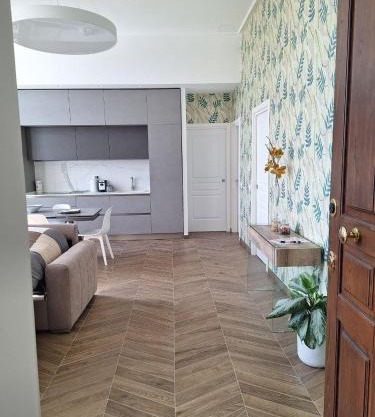 Alocasia luxury stay