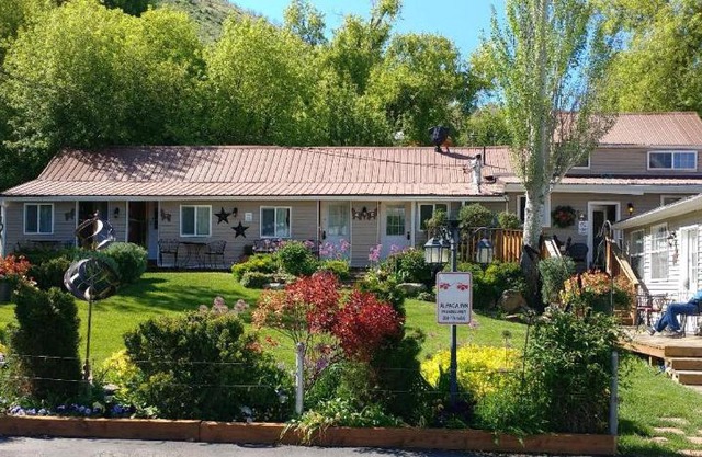 Alpaca Inn, The