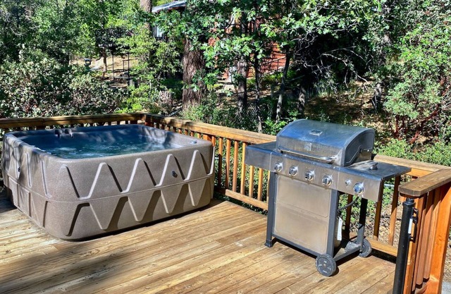 Alpine Lodge: Hot Tub, Walk to Town, Mountain Views