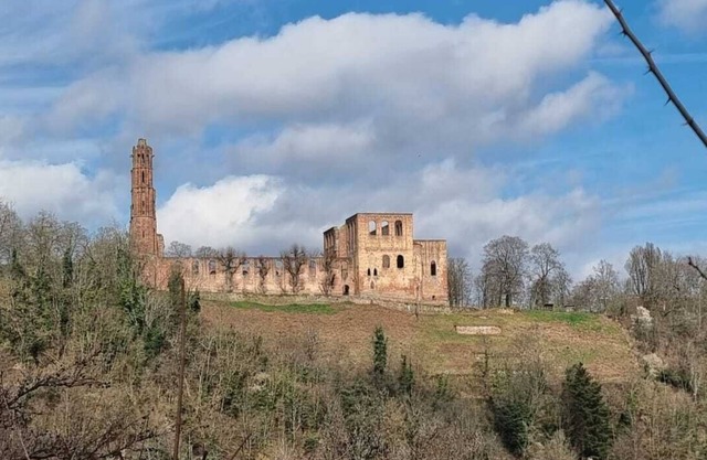 Auch für Haustiere - Wald und Burgen mitten in der Natur warten auf Sie 🐕🌳🏰