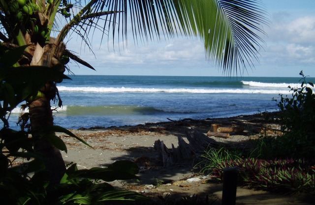 NEUES ZUHAUSE AM STRAND IM Dschungel. Surf, Wasserfall, Yoga, Restaurants in der Nähe.