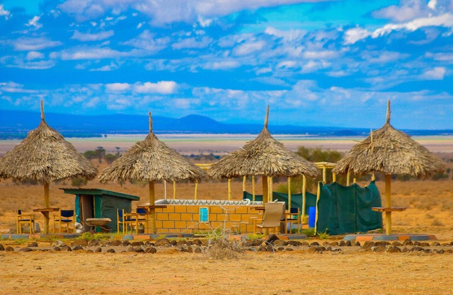 Amanya Camp 1 Double -Bed Tiger in Amboseli