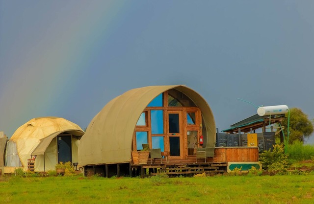 Amanya 1 -Bed King Lion Tent