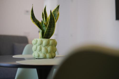 Amas Loft Mascagni