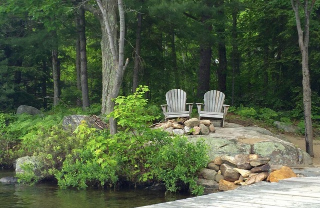 Amazing Muskoka lakeside log home for 2 families (pet friendly!)