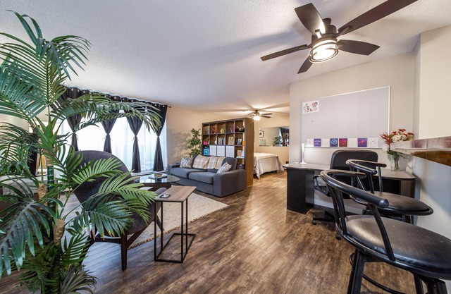 Amazing Studio Suite & Workspace