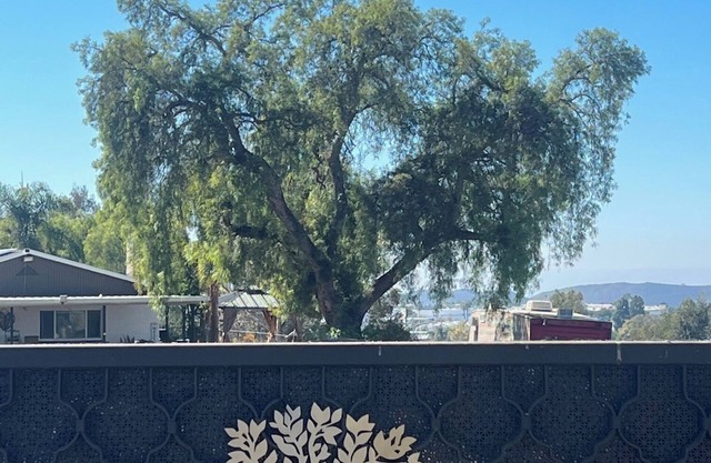 Amazing view furnished single level vacation home, 3/2 on huge lot, Pet friendly