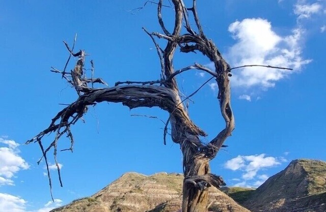 Amazing views of Drumheller valley