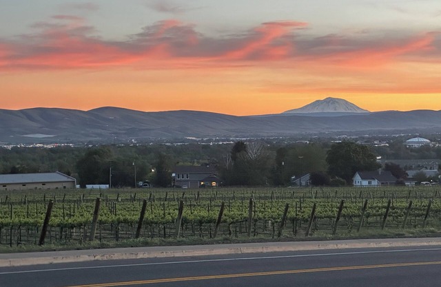 Amazing vineyard views! Conveniently located close to freeways and downtown.