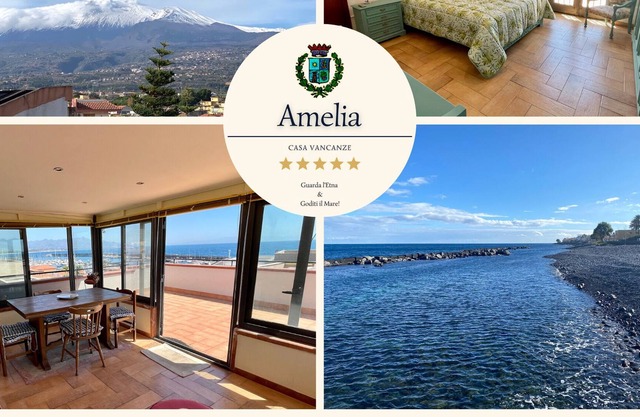 Amelia Holiday House