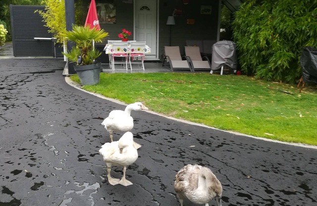 Einfamilienhaus im amerikanischen Kapellenstil