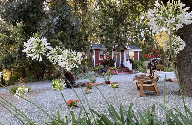 ~ AMITABHA ~ Wine Country Cottage! Perfekt gelegen in Santa Rosa