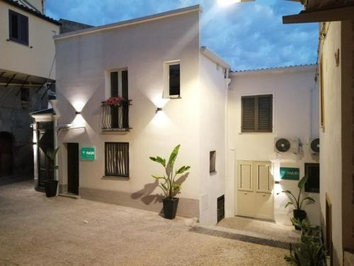 Amuri Holiday Home
