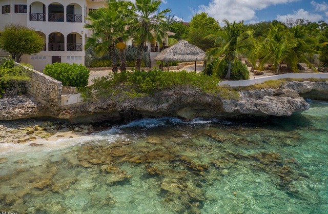 Villa Blossom, eine Villa am Meer mit großem Pool!