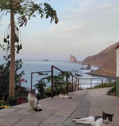 Anaga Manolo Beach House Relax-Trail-Surf