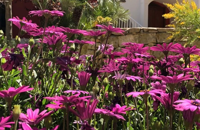 antiker charme wunderschöne zeit villa umgeben von den grünen hügeln von m