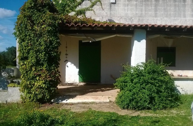 Altes Landhaus zwischen den Olivenbäumen des Salento 20 'vom Meer entfernt