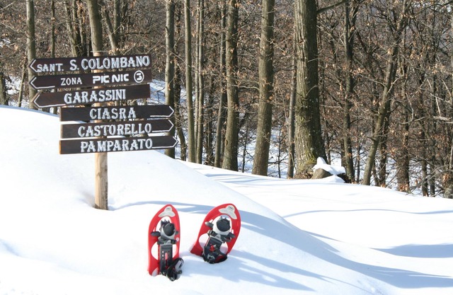 Altes Gebirgshaus im Kastanienwald